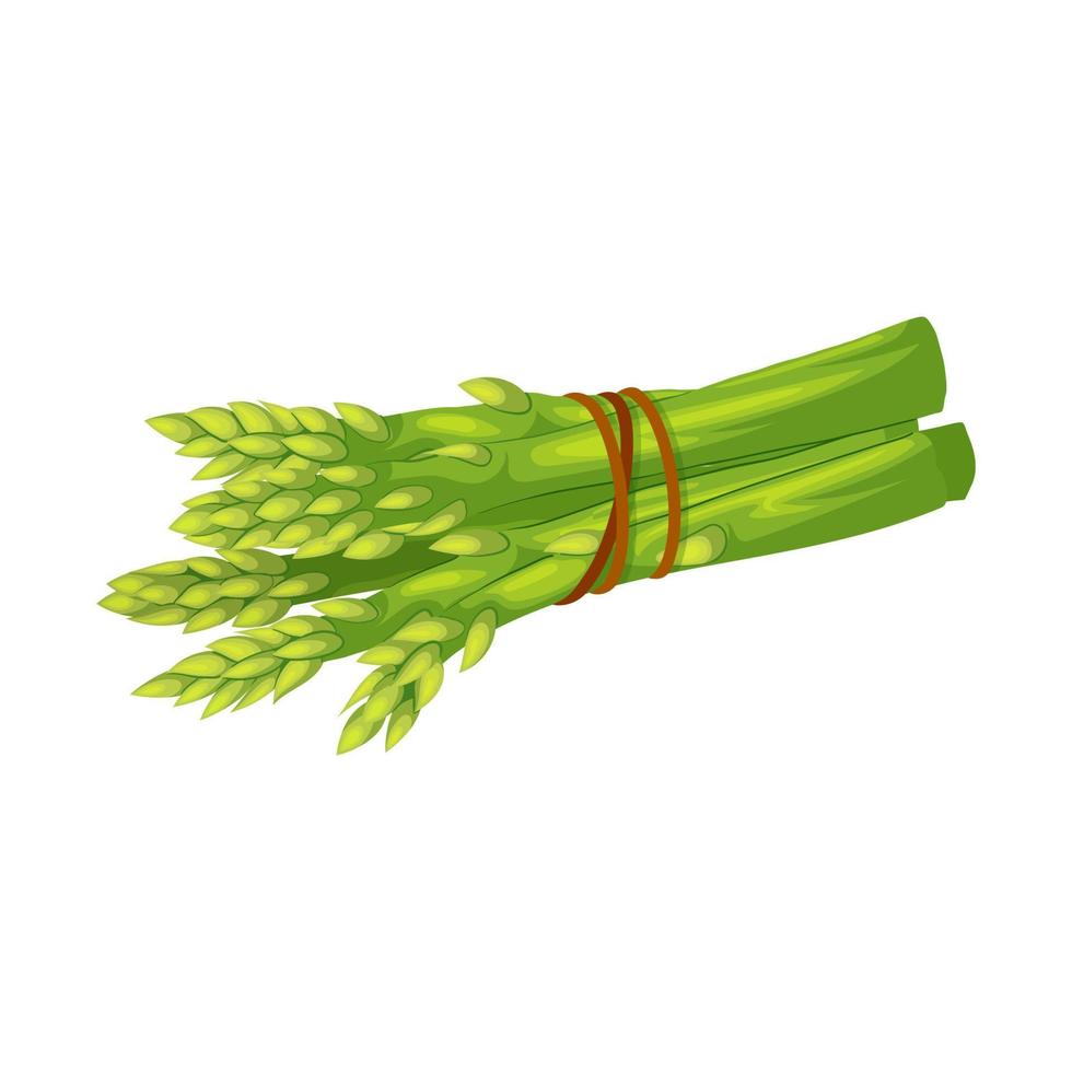 illustration vectorielle de dessin animé vert asperge vecteur