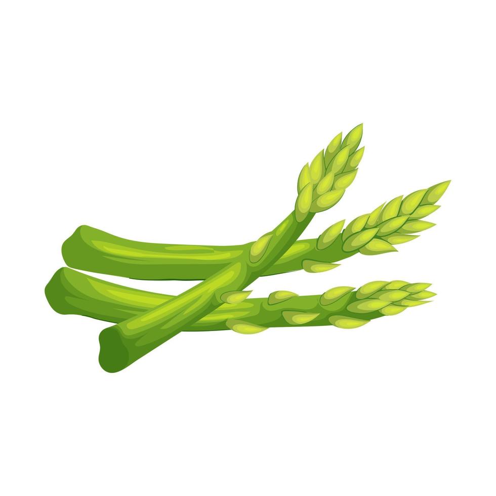 illustration vectorielle de dessin animé alimentaire asperges vecteur