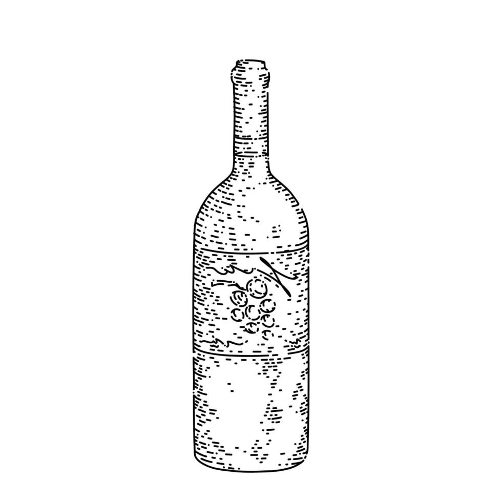 bouteille de vin croquis vecteur dessiné à la main