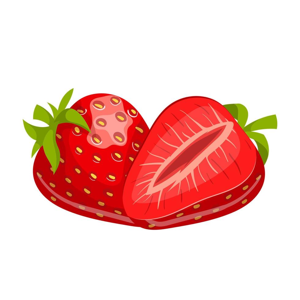 illustration vectorielle de fraise dessin animé vecteur