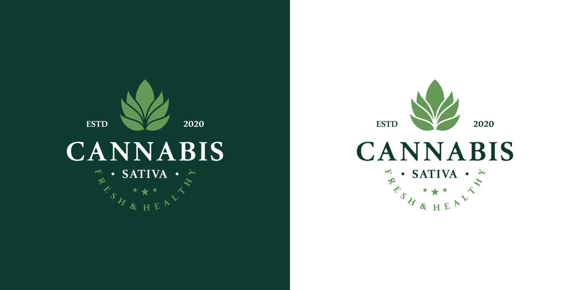 marijuana santé cannabis médical logo conçoit vecteur chanvre cbd extrait d'huile feuille verte