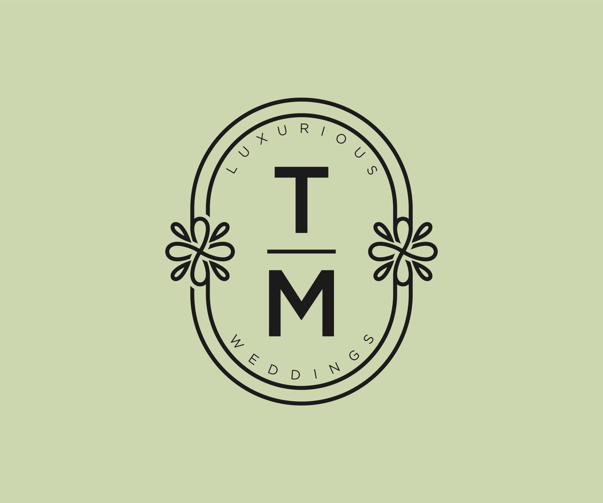 tm initiales lettre modèle de logos de monogramme de mariage, modèles minimalistes et floraux modernes dessinés à la main pour cartes d'invitation, réservez la date, identité élégante. vecteur