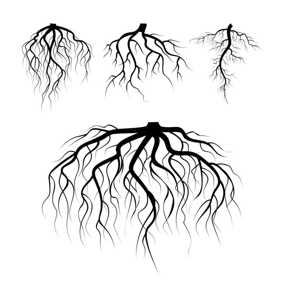 vecteur de racines souterraines d'arbres. ensemble de racines souterraines de plantes. racine d'arbre noire. illustration de la racine de la silhouette de la plante