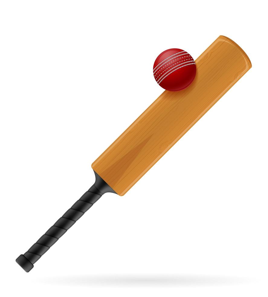 batte de cricket et balle vecteur