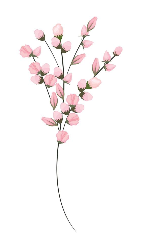 peinture de bouquet de fleurs de bourgeons roses vecteur