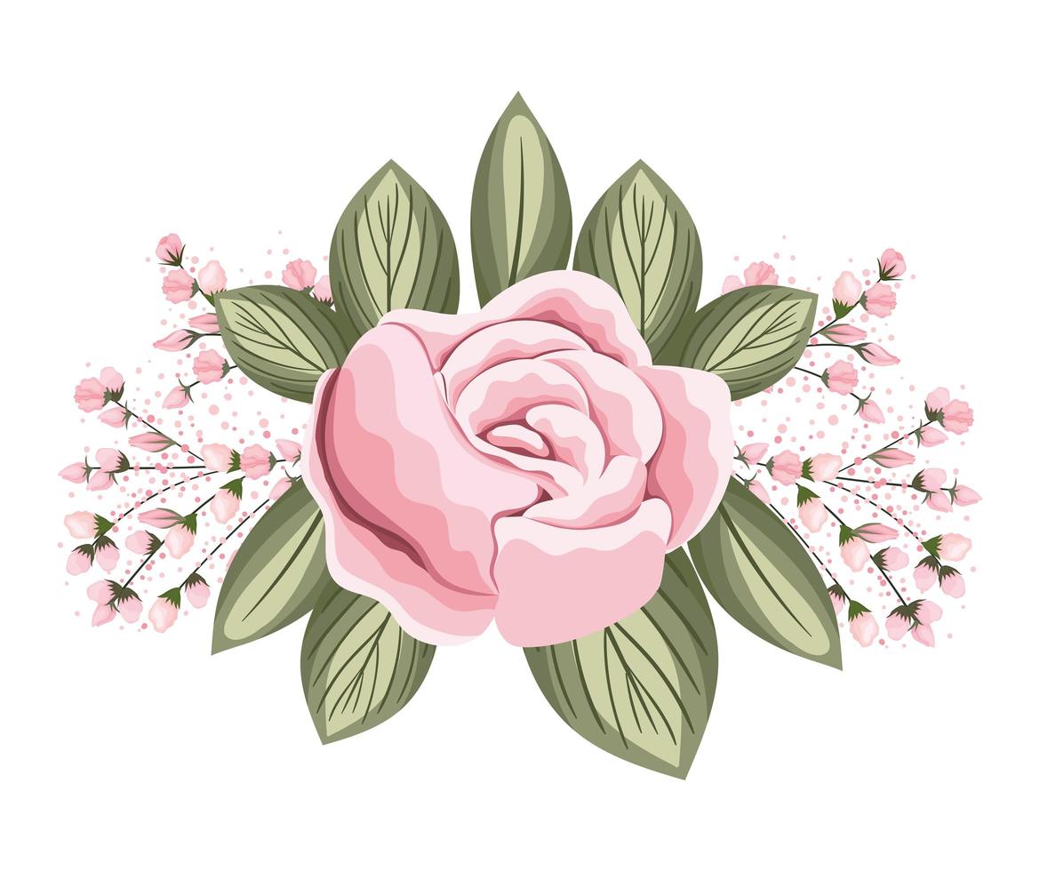 fleur rose rose avec des bourgeons et des feuilles peinture vecteur