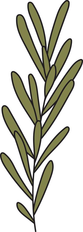 illustration du produit de feuilles de romarin à cuisiner. vecteur