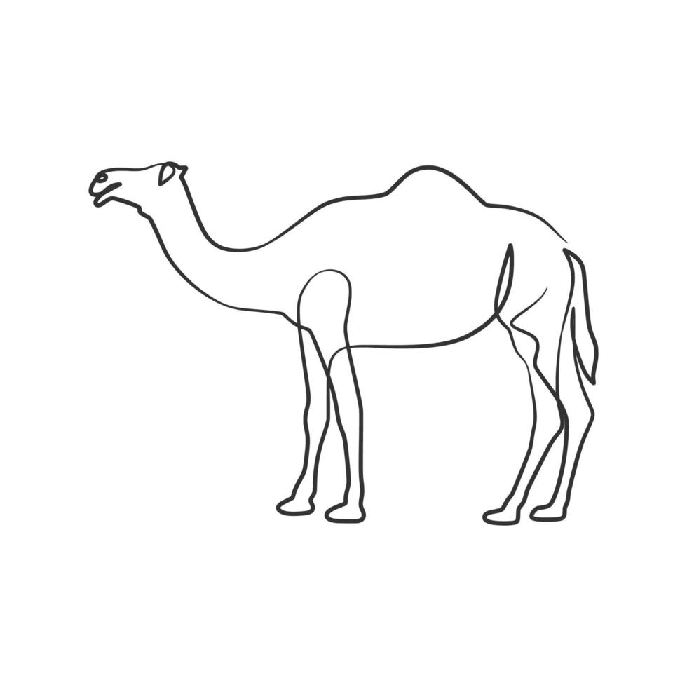 chameau dessin au trait continu vecteur