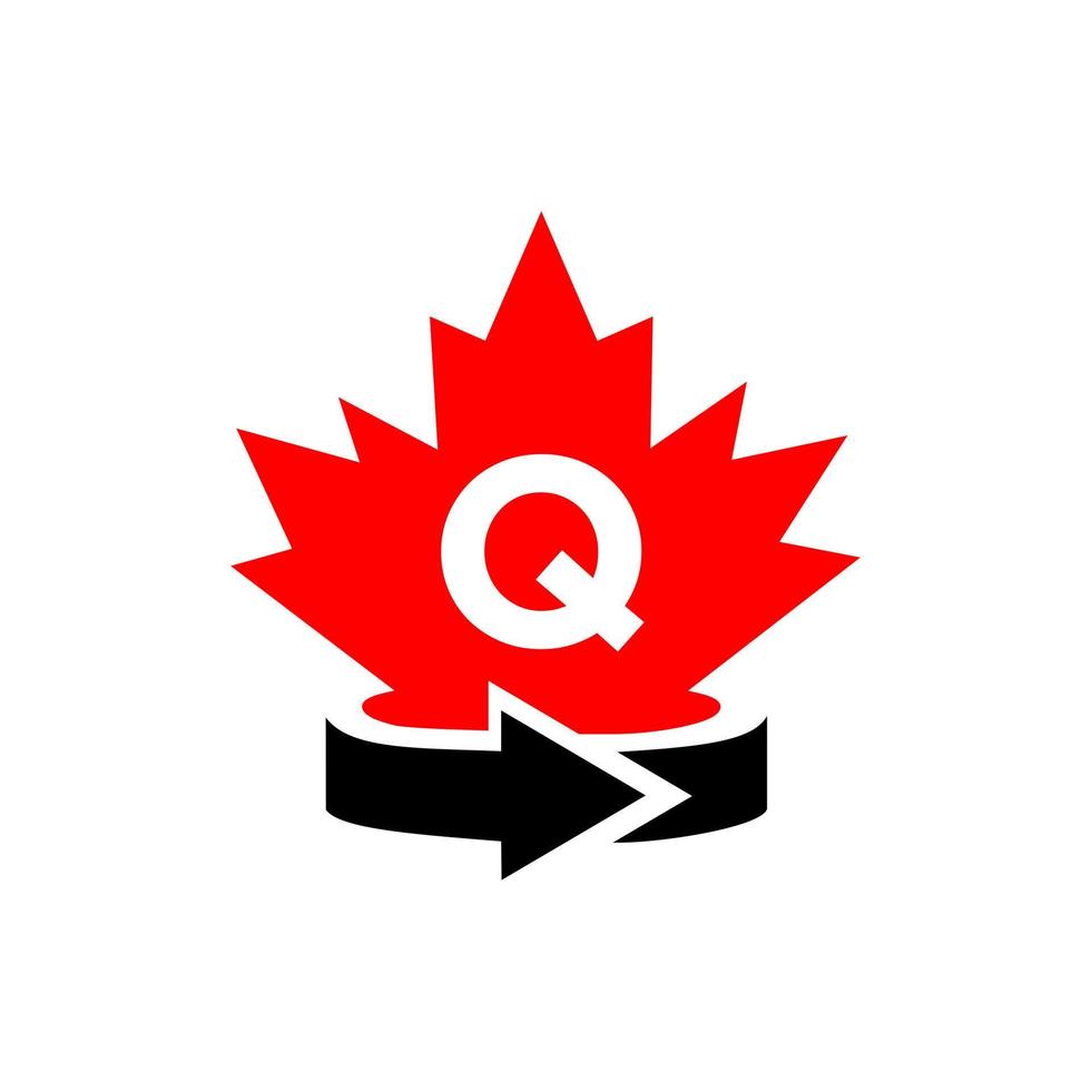 lettre q modèle de conception de logo d'érable canadien. logo canadien érable rouge vecteur