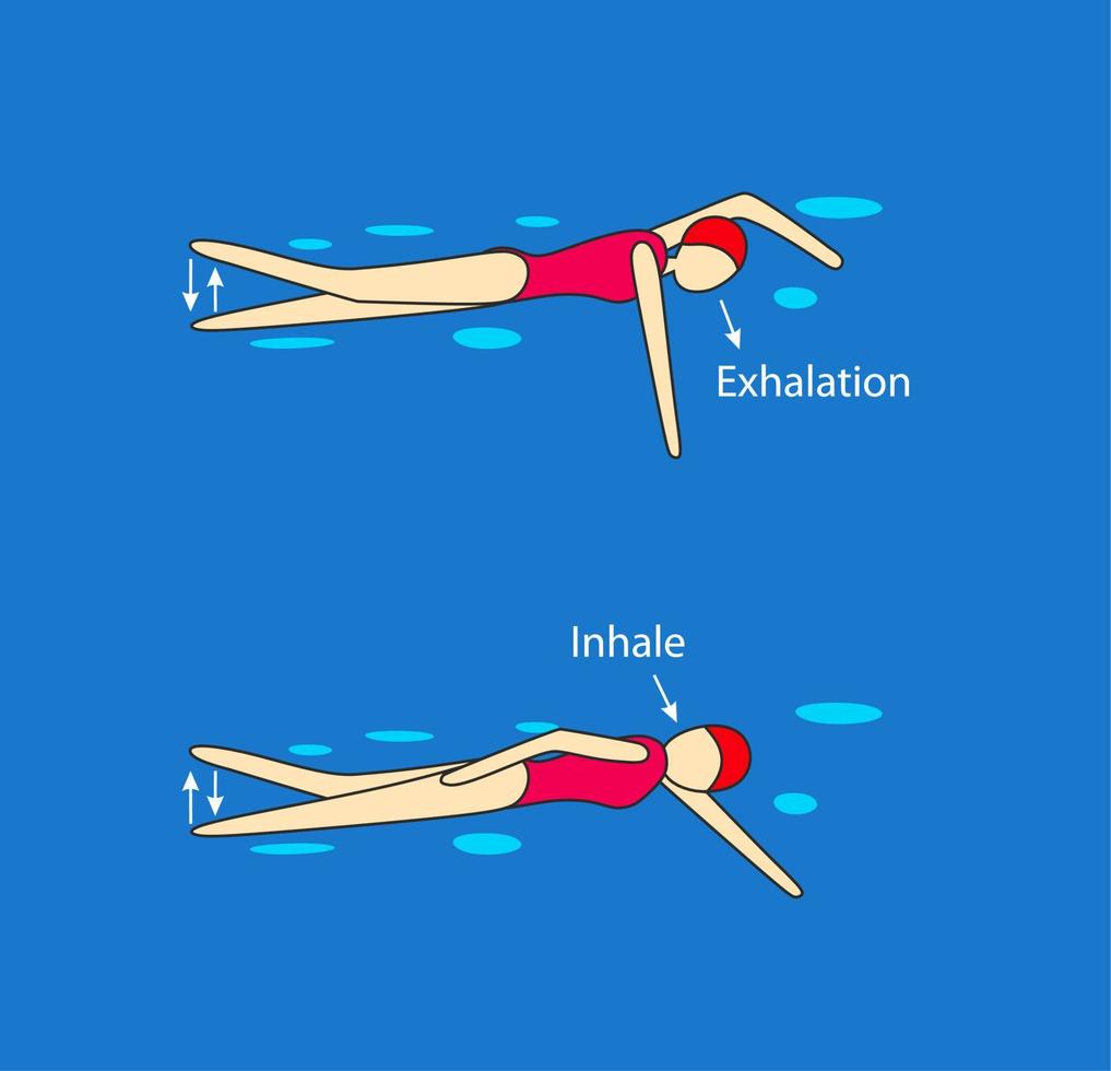 bras dos crawlé, travail des jambes, respiration. instruction piscine. jeune fille. vecteur