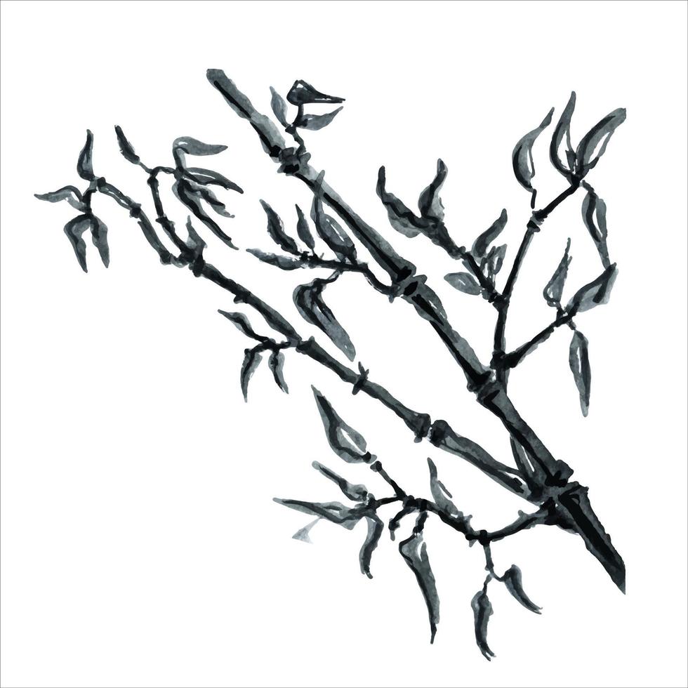 les branches de bambou sont peintes à l'aquarelle. plantes asiatiques. fond de bambou aquarelle décoratif. vecteur