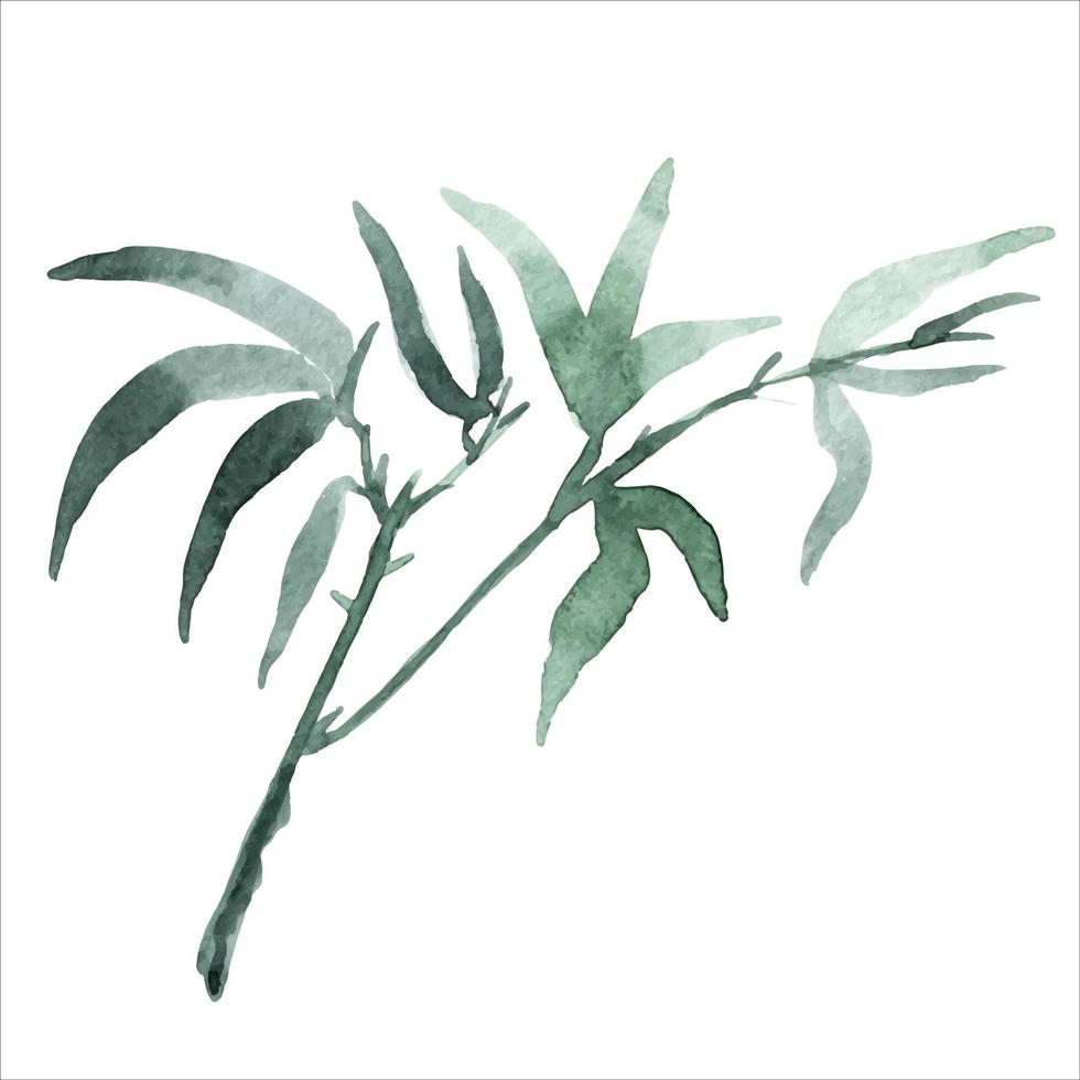 les branches de bambou sont peintes à l'aquarelle. plantes asiatiques. fond de bambou aquarelle décoratif. vecteur