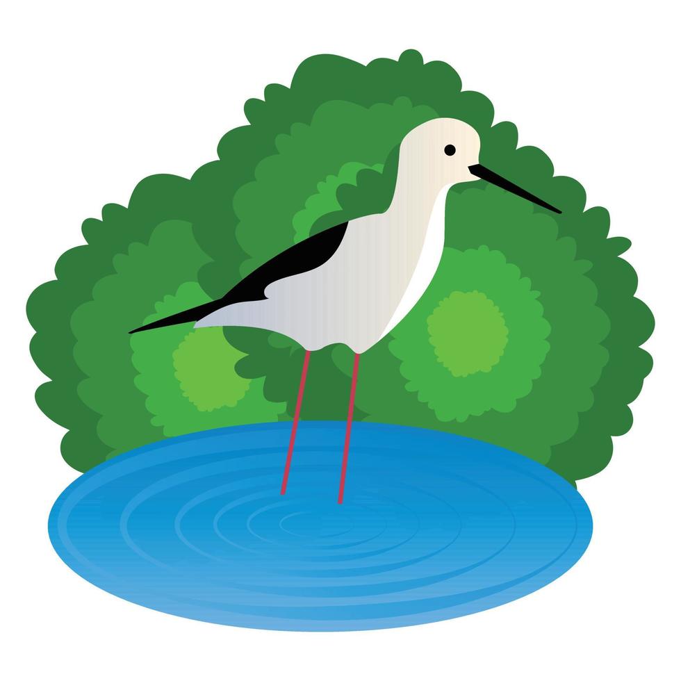 illustration vectorielle d'oiseau échassier mignon, tricolore, noir, héron d'étang chinois. chinois, grand blanc, héron garde-boeuf, dessin animé oiseau coloré vecteur