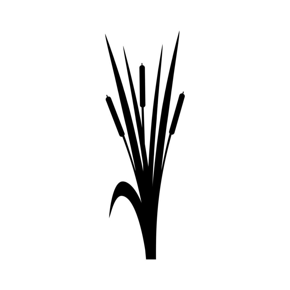vecteur d'icône de quenouille. signe d'illustration de roseaux. symbole des marais. logo d'herbe.