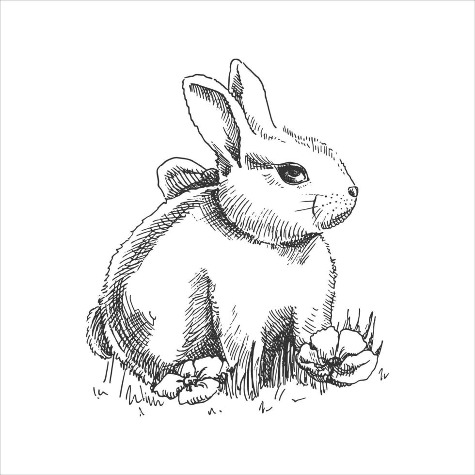 un croquis de lapin dessiné à la main. fête de Pâques. illustration vectorielle. lapin avec un arc dans l'herbe et les fleurs. dessin isolé sur fond blanc. élément d'époque. vecteur