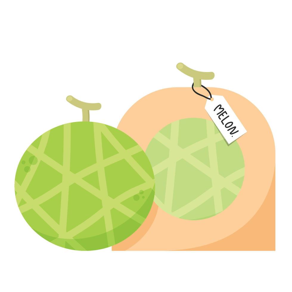 vecteur de melon. melon sur fond blanc. fond d'écran. symbole. création de logos. affiche de melon.