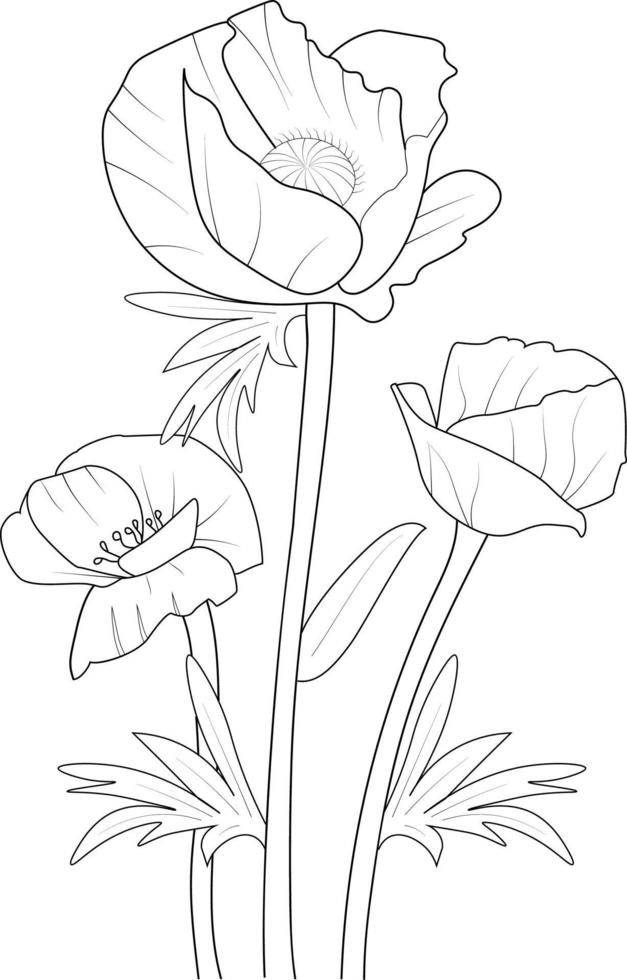 art de fleur de pavot, illustration vectorielle d'un bouquet de pavot, éléments de printemps botaniques dessinés à la main dessin au trait de collection naturelle pour coloriage isolé sur fond blanc. vecteur