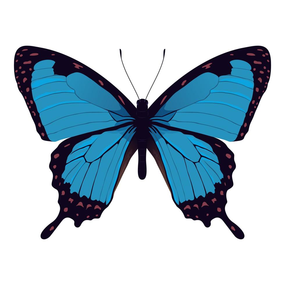 papillon morpho bleu - belle illustration vectorielle d'insecte vecteur