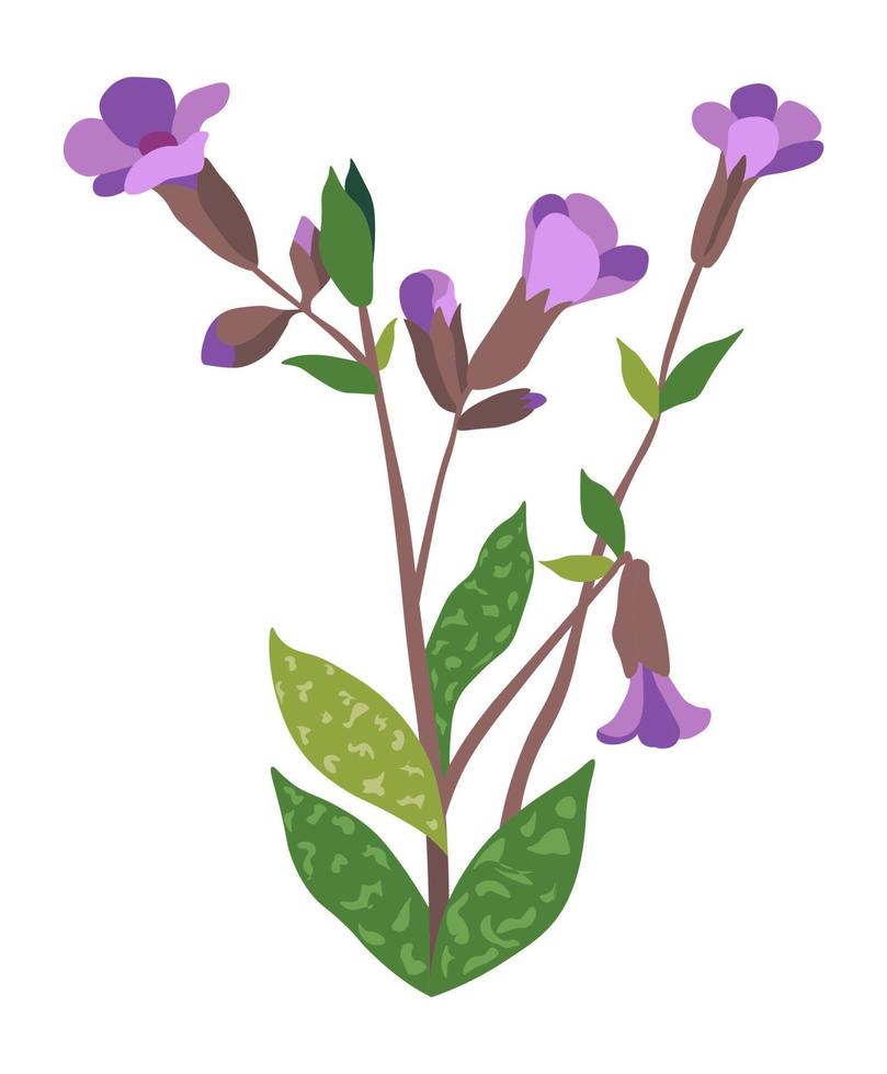 fleurs sauvages violettes en fleurs, botanique en fleurs vecteur