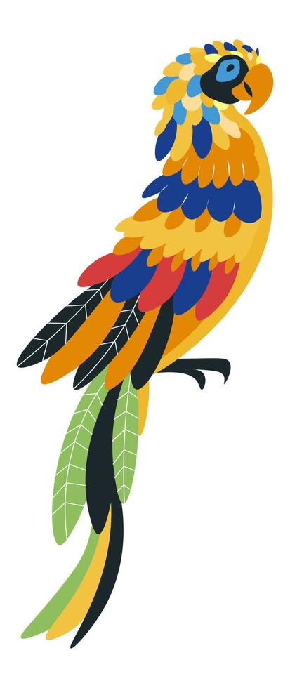 Loriquet arc-en-ciel, vecteur d'oiseau vif de perroquet exotique