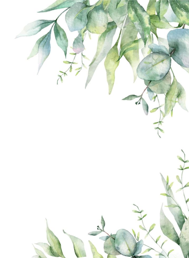 aquarelle de cadre d'eucalyptus, cadre floral, cadre de verdure, arrangement floral, composition de feuilles vertes vecteur