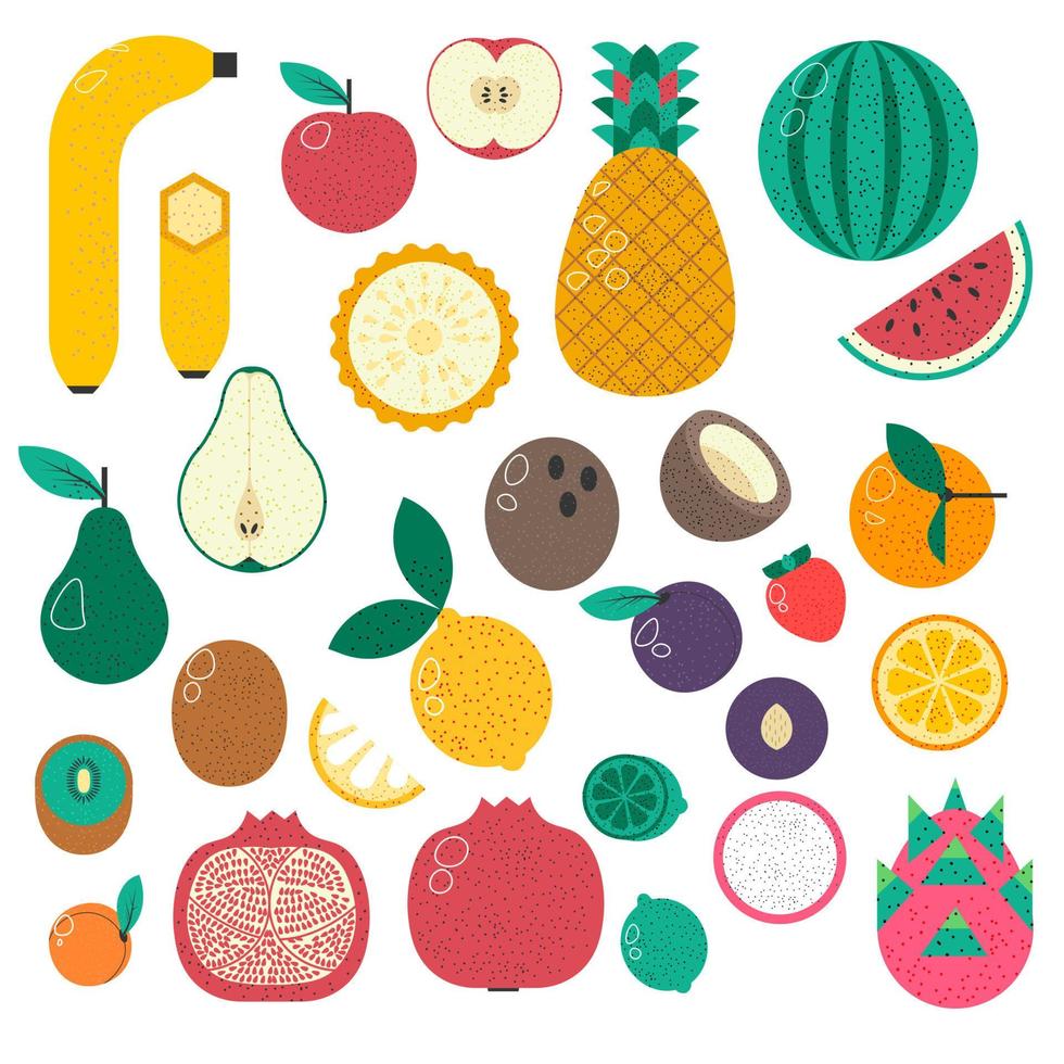 fruits exotiques et tropicaux, banane et pastèque vecteur