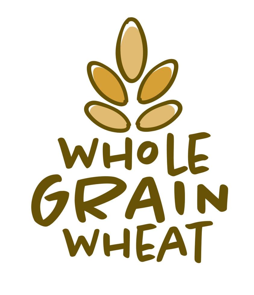 farine de blé entier, logotype agricole vecteur