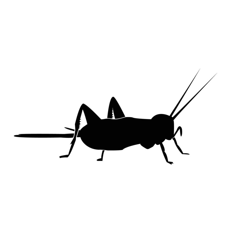 modèle vectoriel de logo d'insecte de cricket