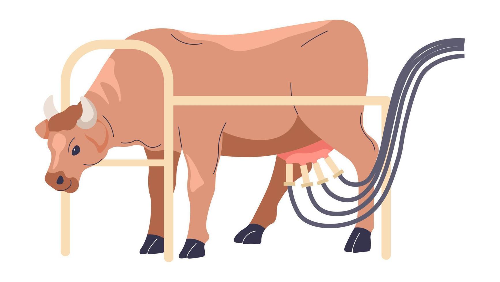 vaches avec machine à traire, vecteur agricole