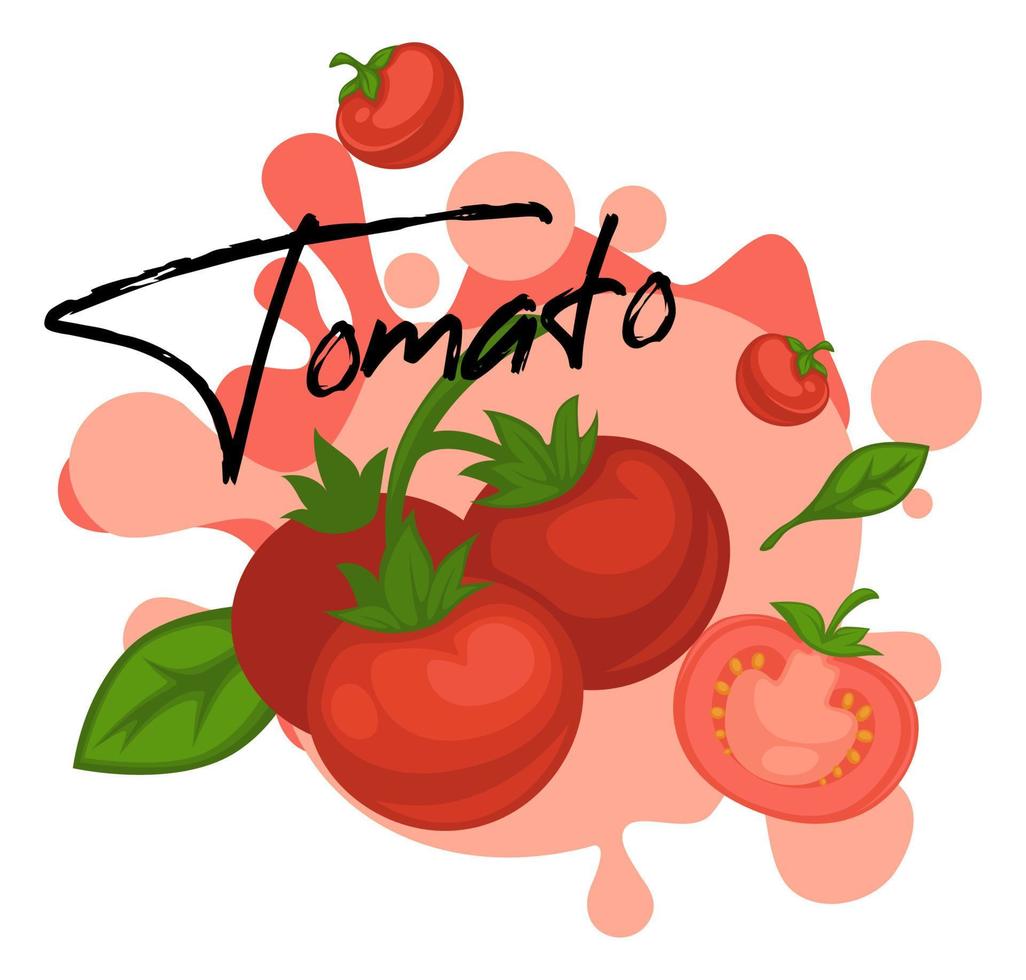 légume frais tomate avec bannière de feuilles de basilic vecteur