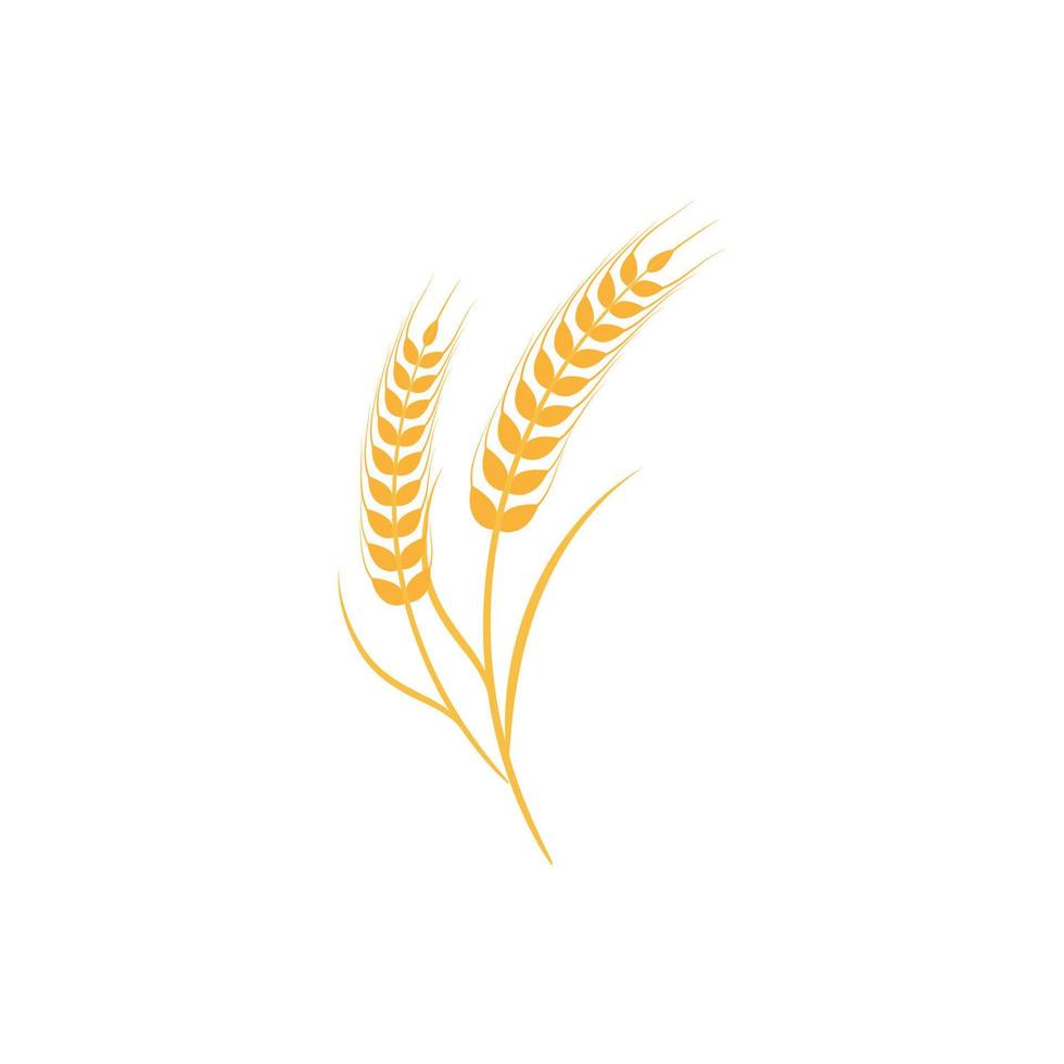 vecteur de blé agricole