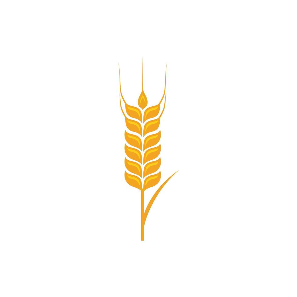 vecteur de blé agricole