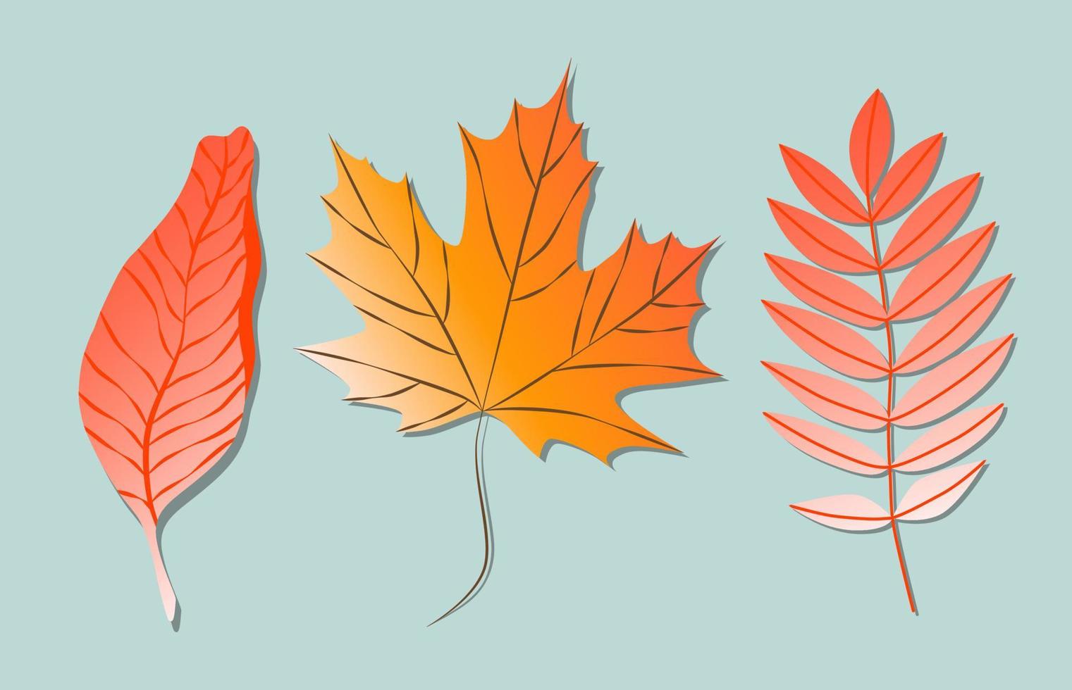 variété de feuilles d'automne colorées à la mode. illustrations vectorielles pour le web, l'application et l'impression. formes élégantes feuilles de gradient isolées floristiques. ensemble floral forestier, botanique et minimaliste. vecteur