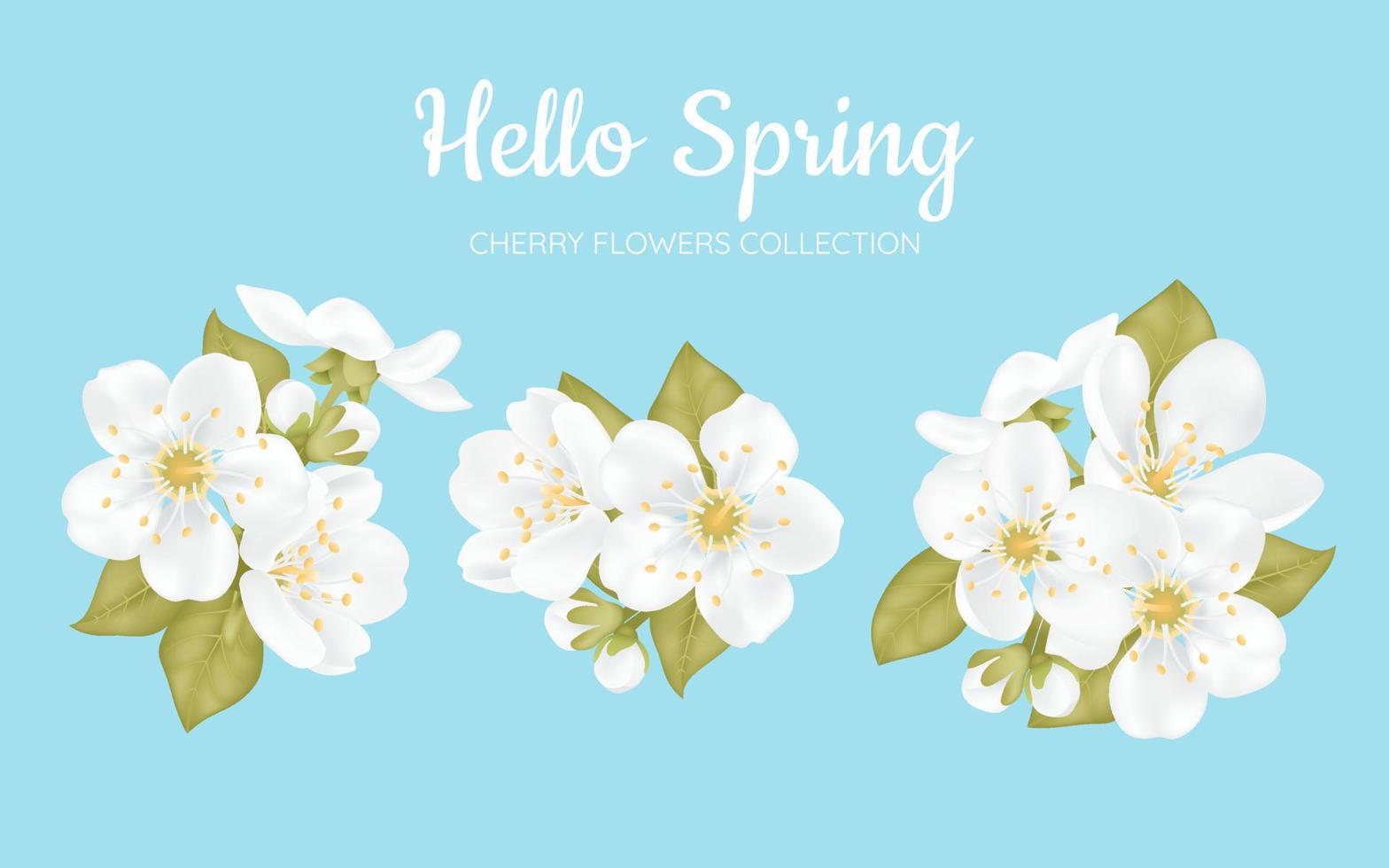 collection de belles fleurs de cerisier sakura blanc avec des feuilles isolées sur fond bleu. ensemble de branche de fleur de prunier ou de pommier, cerisier japonais. illustration vectorielle de printemps floral design. vecteur