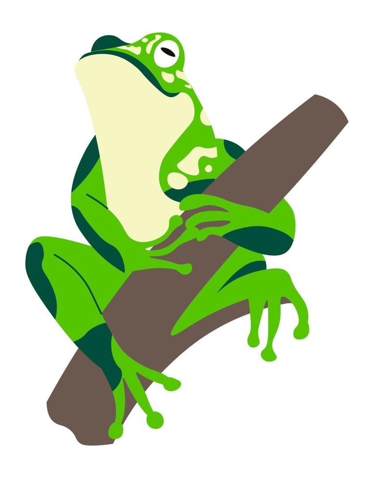 grenouille assise sur une branche, animal reptile exotique vecteur