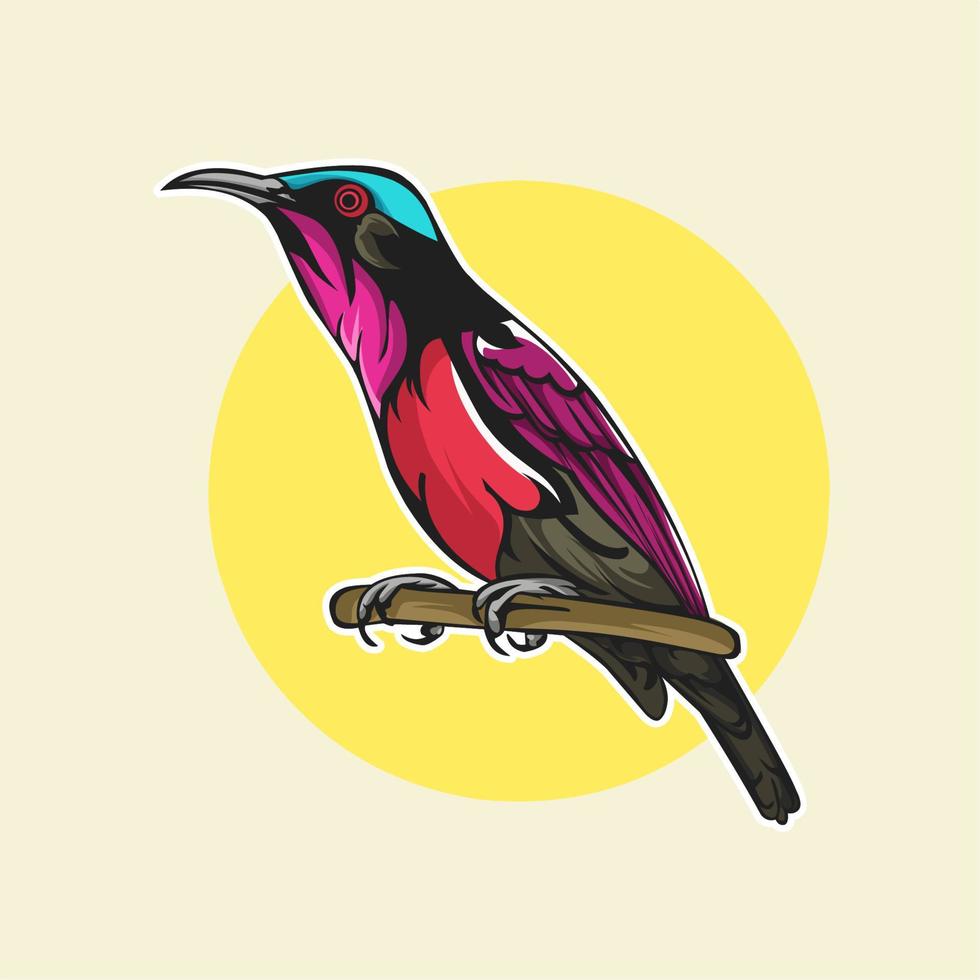 illustration vectorielle, colibri de dessin animé mignon, adapté comme logo, dessin animé, logo birdshop ou captivité vecteur