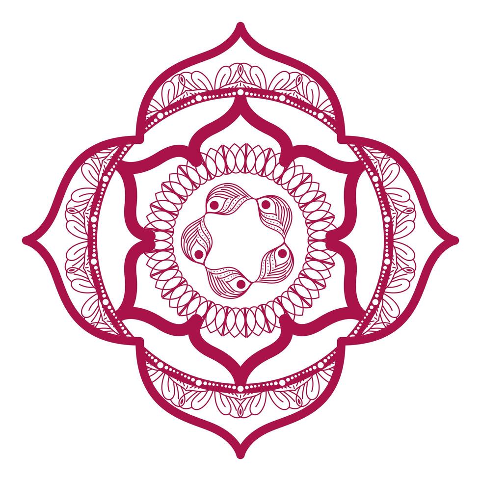 mandala dans un cadre design rose vecteur