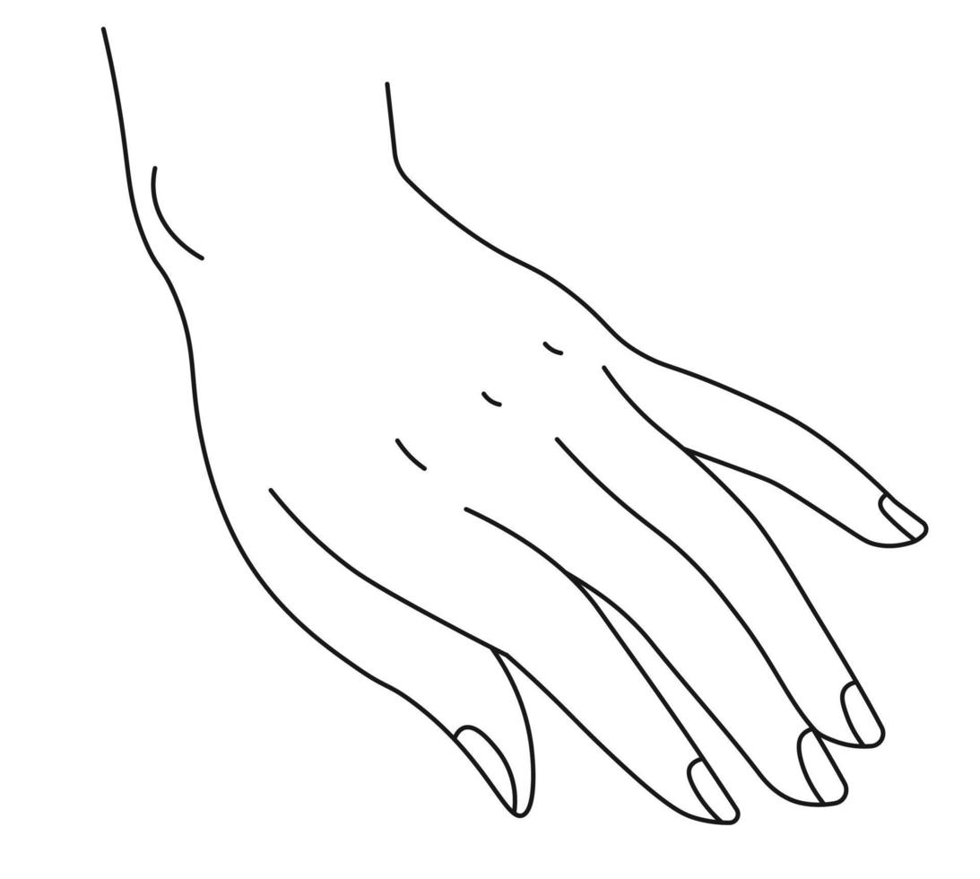 main féminine élégante avec manucure, signe de geste vecteur