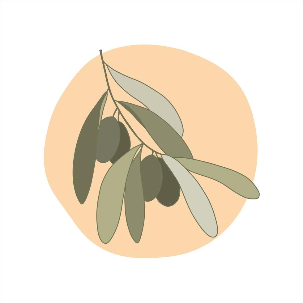 branche d'olivier en style cartoon. illustration vectorielle. vecteur