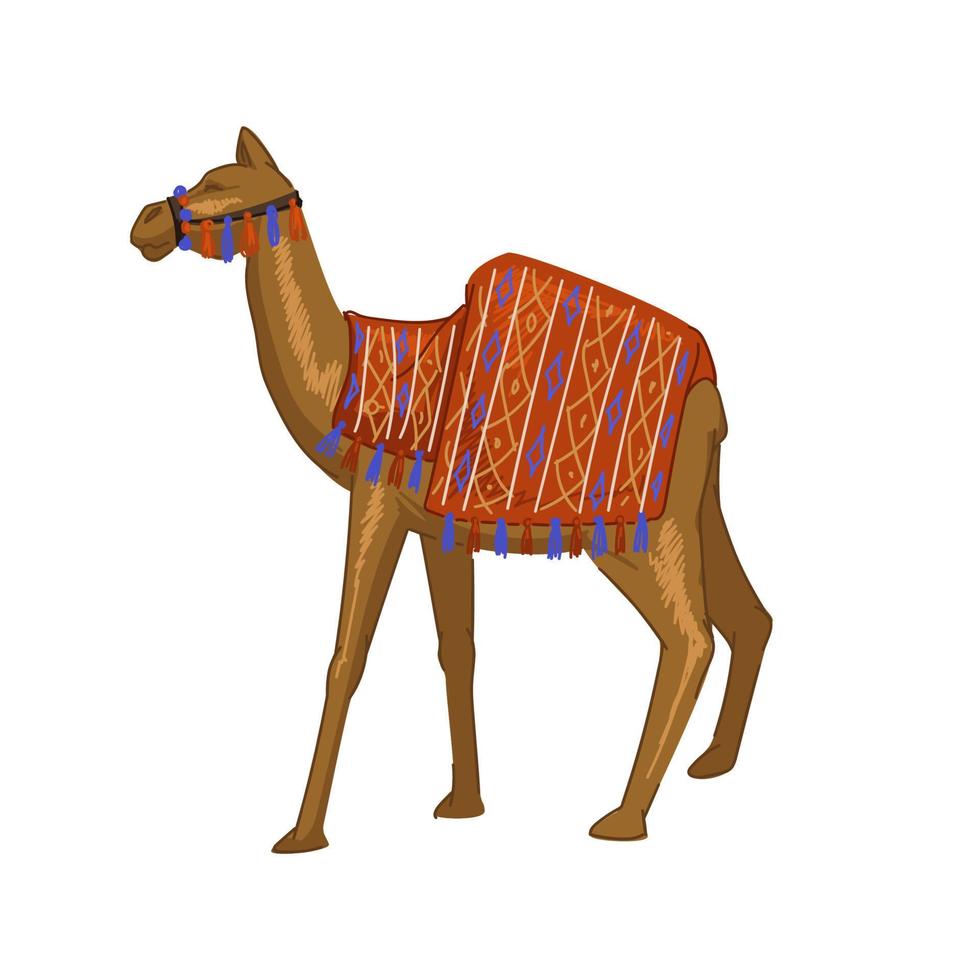 animal chameau avec couverture sur le dos, mammifère égyptien vecteur