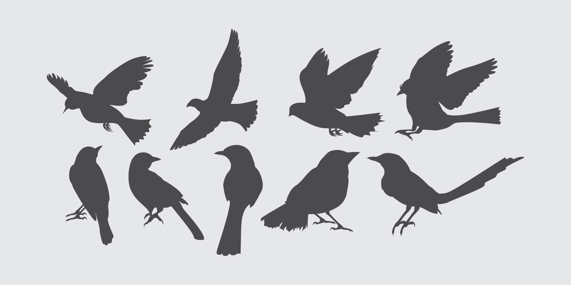 ensemble de silhouettes d'oiseaux noirs. éléments vectoriels pour l'illustration de la conception. vecteur