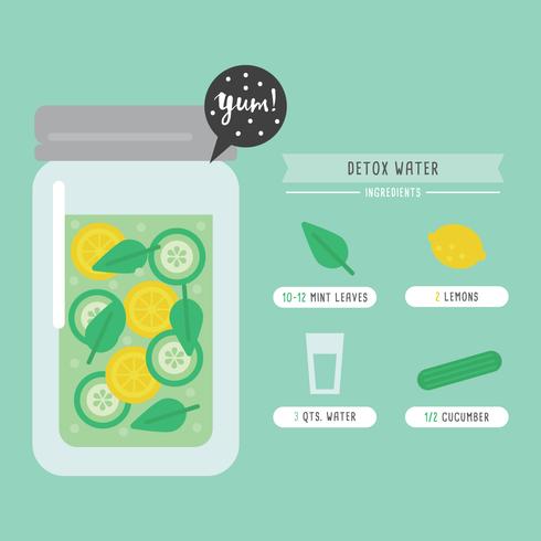 Recette d'eau Detox vecteur