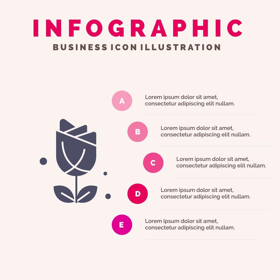 fleur américain usa plante solide icône infographie 5 étapes présentation fond vecteur