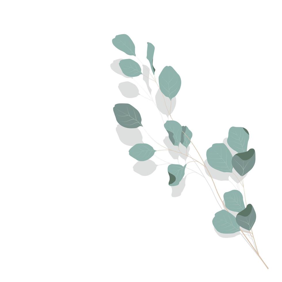 illustration vectorielle stock de feuilles d'eucalyptus. délicates feuilles tropicales pour le bouquet de la mariée. une branche de fleurs couleur menthe. fleurs de printemps ou d'été pour cartes d'invitation, de mariage ou de voeux. vecteur