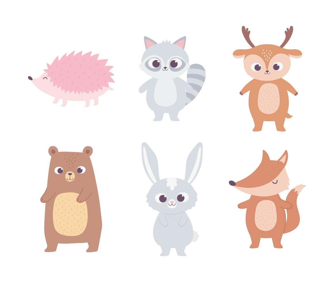 animaux mignons de bande dessinée petit ours raton laveur cerf lapin renard et hérisson vecteur