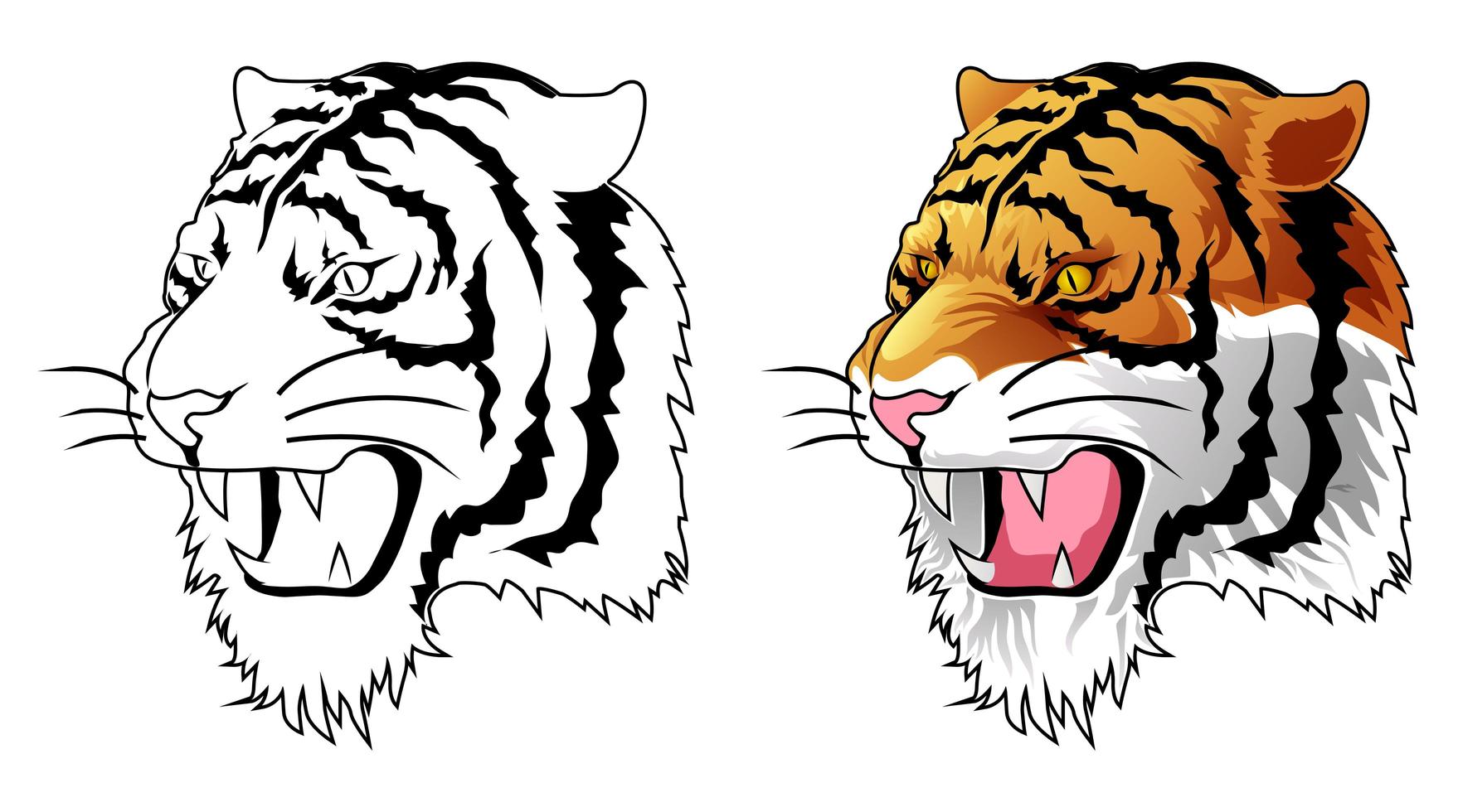 Coloriage de dessin animé tête de tigre pour les enfants vecteur