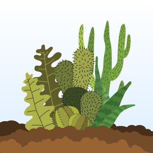 Illustration de succulentes vecteur