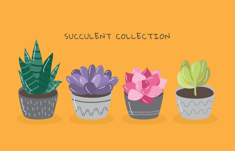 Collection succulente vecteur