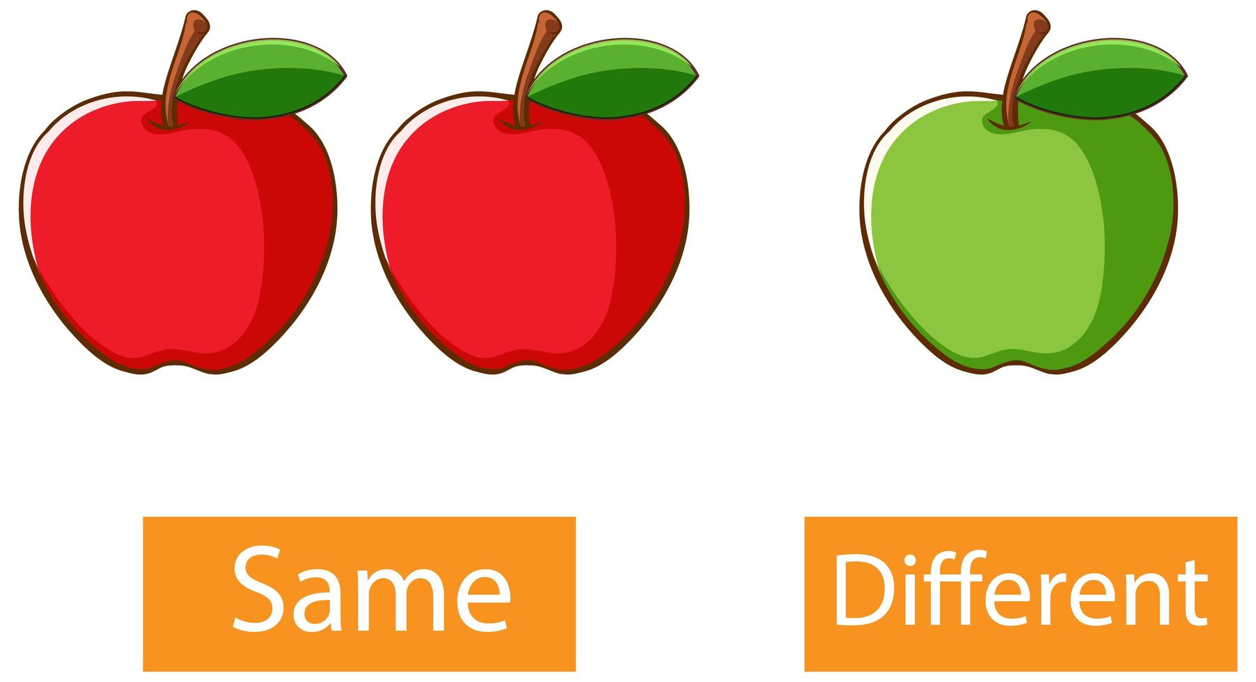 Adjectifs opposés avec des mots identiques et différents vecteur