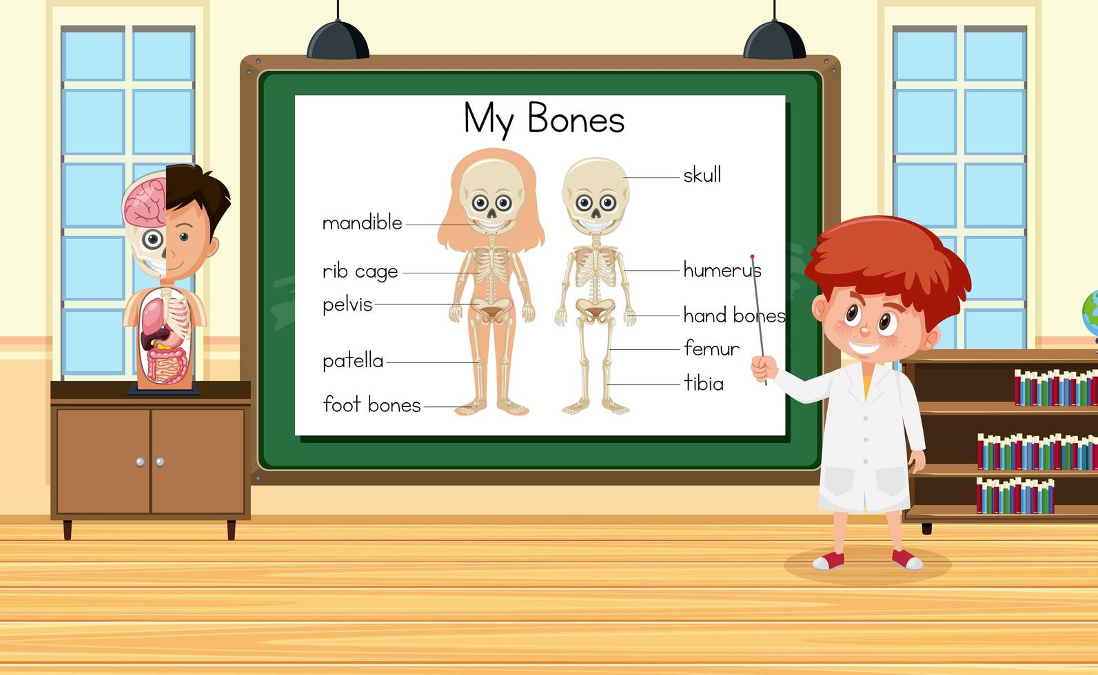 Jeune scientifique expliquant les os humains devant un tableau en laboratoire vecteur